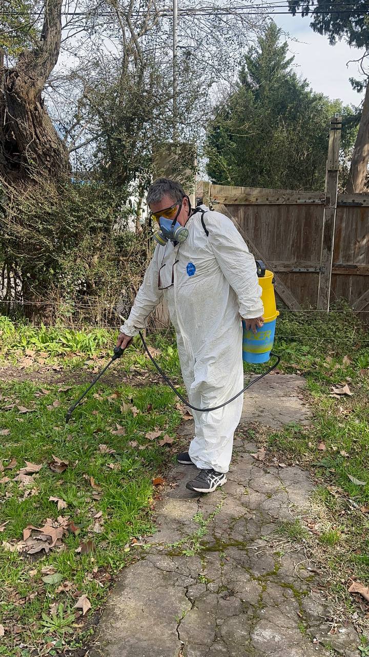 Aplicación profesional en un ambiente interior